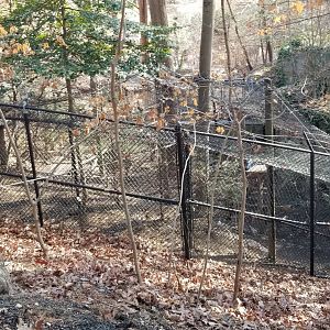 Smithsonian -  Raven exhibit from behind