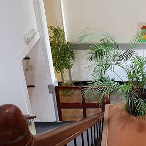 View down the stairs