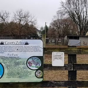 Leesburg Animal Park - Grant's Zebra