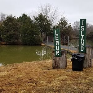 Leesburg Animal Park - lemur island