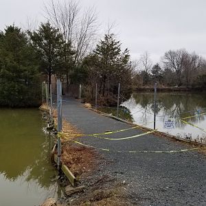 Leesburg Animal Park - lemur island