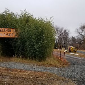 Leesburg Animal Park - obstacle course