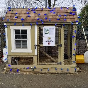 Leesburg Animal Park - Rabbits