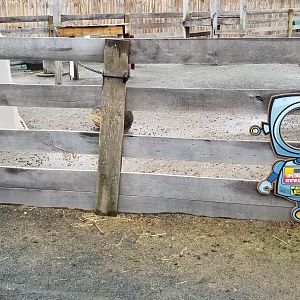 Leesburg Animal Park - goat signs