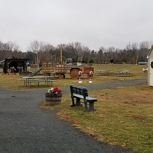 Leesburg Animal Park - performance area