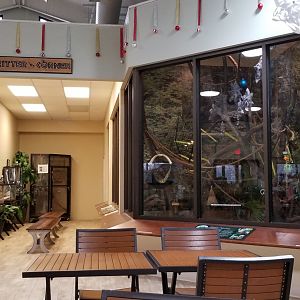 Leesburg Animal Park - indoor animal area