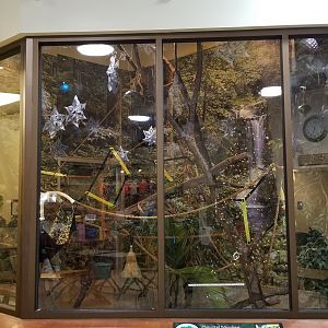 Leesburg Animal Park - squirrel monkeys