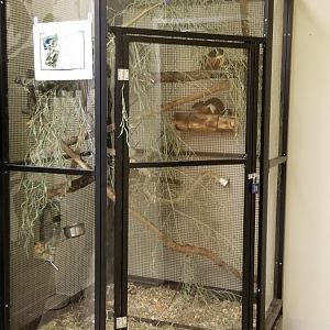 Leesburg Animal Park - prevost squirrels