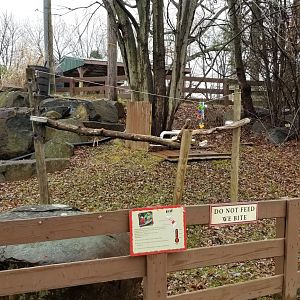 Roer's Zoofari - macaw area