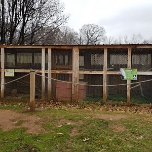 Roer's Zoofari - birds