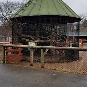 Roer's Zoofari - barn owl