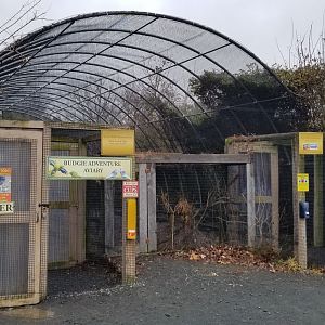 Roer's Zoofari - budgie aviary
