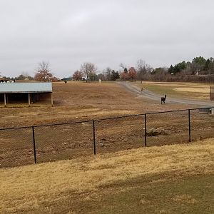 Roer's Zoofari - start of safari area