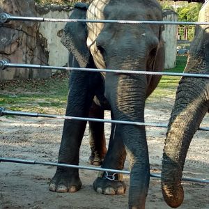 Swarna celebrates her 45th birthday, 1/1/2020