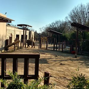 Outdoor Yard of Elephant Trails Exhibit