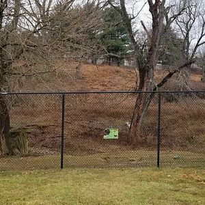 Roer's Zoofari - Extended area of safari field