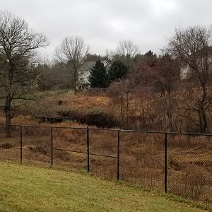 Roer's Zoofari - more of safari field thanks to down fence