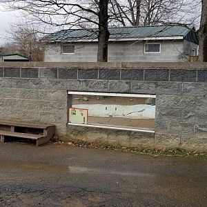 Roer's Zoofari - capybara