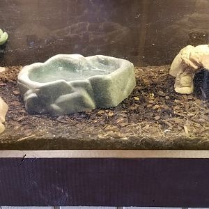 Roer's Zoofari - no label