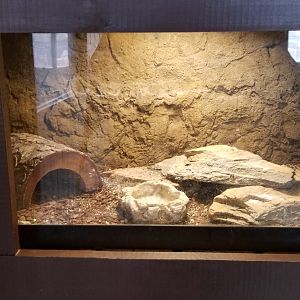 Roer's Zoofari - no label