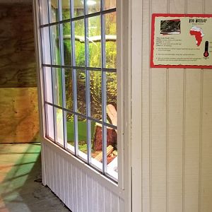 Roer's Zoofari - nile monitor