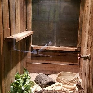 Roer's Zoofari - ball python