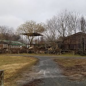 Roer's Zoofari - view of back of giraffe yard