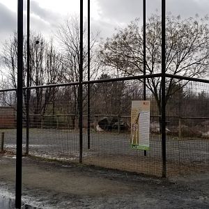 Roer's Zoofari - Giraffe yard