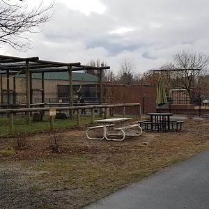 Roer's Zoofari - tables, former clouded leopard home