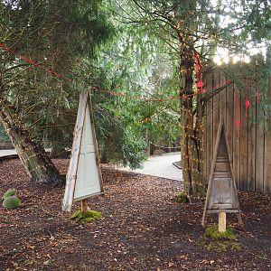 Holiday decorations, 2019-12-28