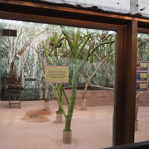 Renovated Queensland koala house, 2019-12-28