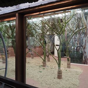 Renovated Queensland koala house, 2019-12-28