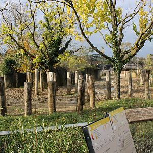 Rhino - Zebra - Lechwe enclosure from the other side