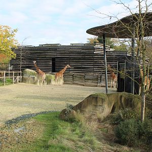 Kordofan - Greater kudu enclosure