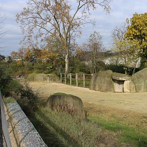Another part of the Giraffe - Kudu enclosure