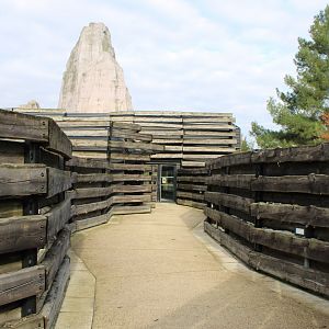 Way towards the Giraffe-house