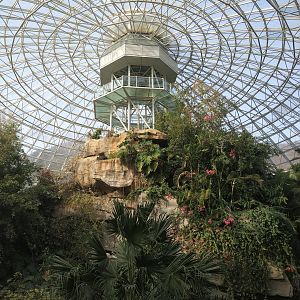 Tropical House Interior