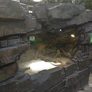 Mangrove Monitor Exhibit