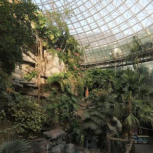 Tropical House Interior