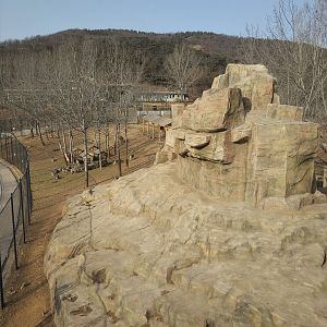 Bharal and Alpaca Exhibit