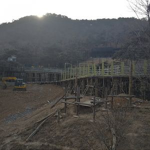 Construction Work in Tiger Exhibit