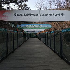Walkway Signs