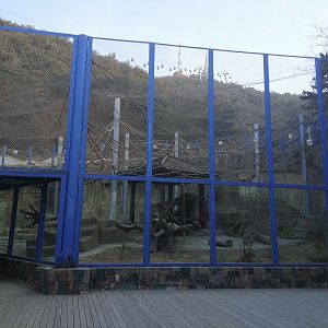 Goldon Monkey Exhibit