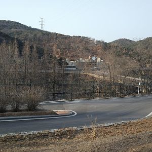 Closed Off Side Of Zoo