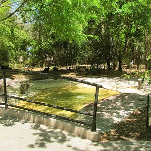 Birds of the Rift Valley Aviary Pool