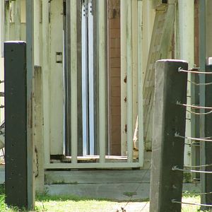 ERD (Elephant Restraint Device)