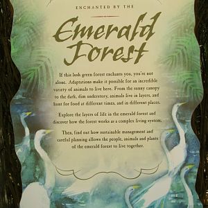 Emerald Forest Aviary Sign