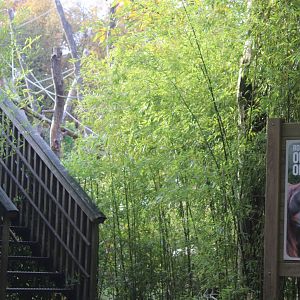 Sign and stairs toward viewing-platform Orang utans
