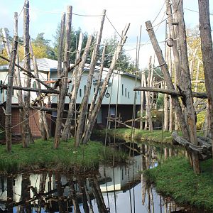 Orang utan house and islands