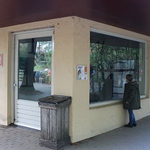 Northern talapoin indoor enclosure